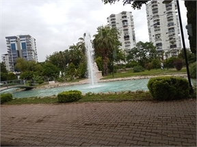 IMG_20240511_104810_624
